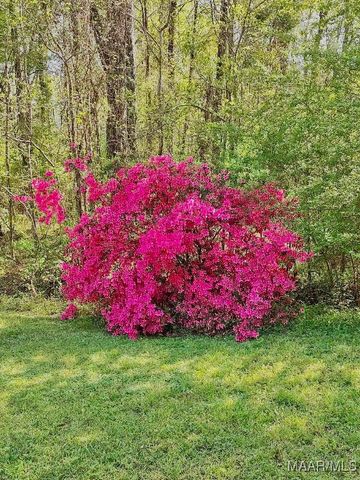 2112 County Road 80 ., Selma, AL 36703