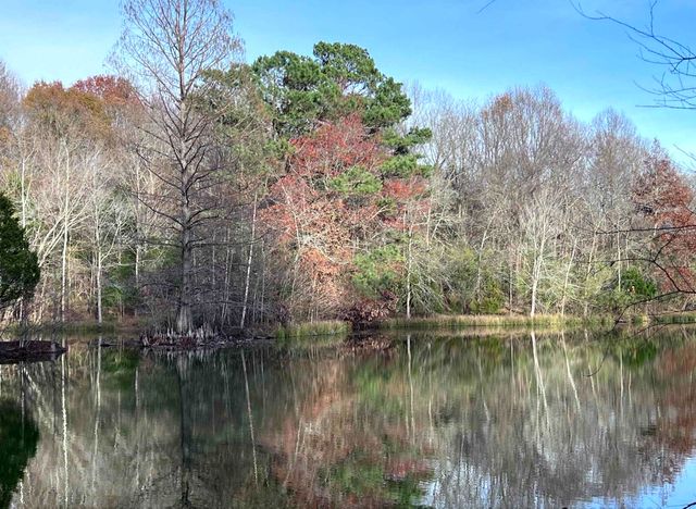 88 Dakota Road, Carbondale, IL 62902