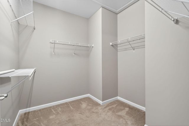 1412 Palmer Hill Drive, Durham, NC 27703