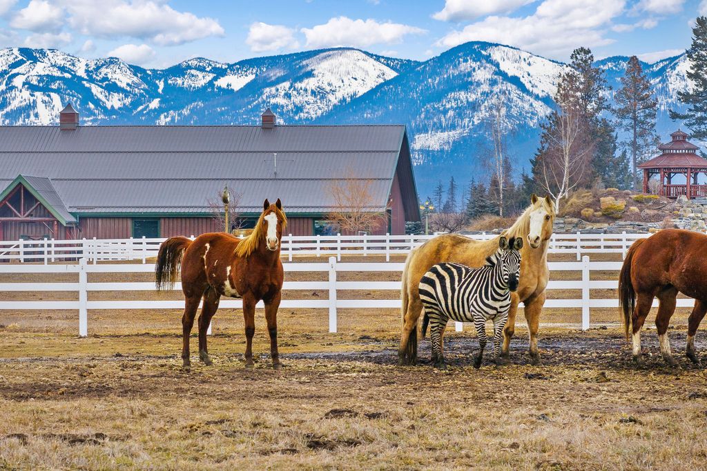 1187 & 1195 Hodgson Road, Columbia Falls, MT 59912 photo 172