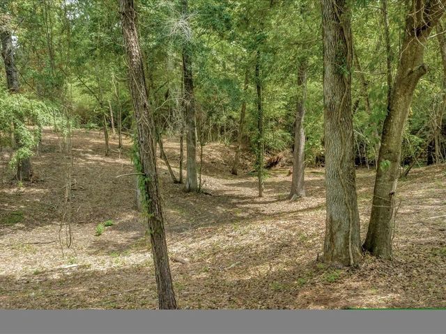 TBD Commodore And Brame Drive, Livingston, TX 77351