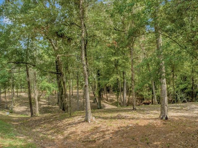 TBD Commodore And Brame Drive, Livingston, TX 77351