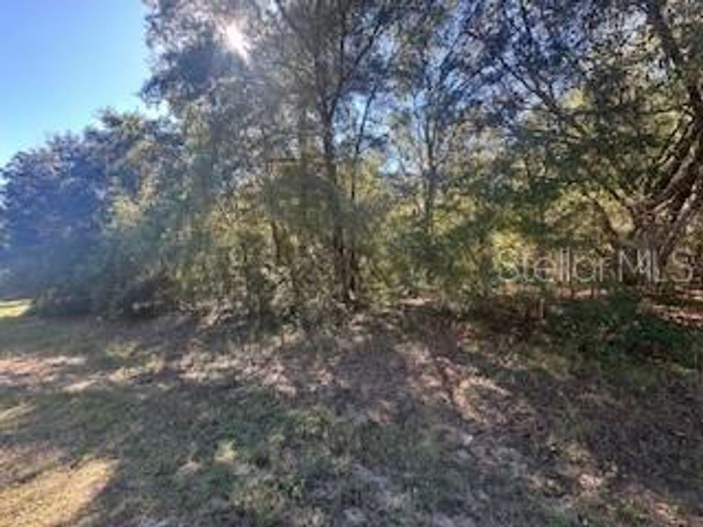 10012 N ATHENIA DRIVE, Citrus Springs, FL 34434