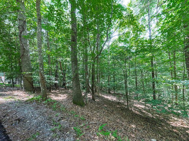 314 Spring Creek, Blairsville, GA 30512