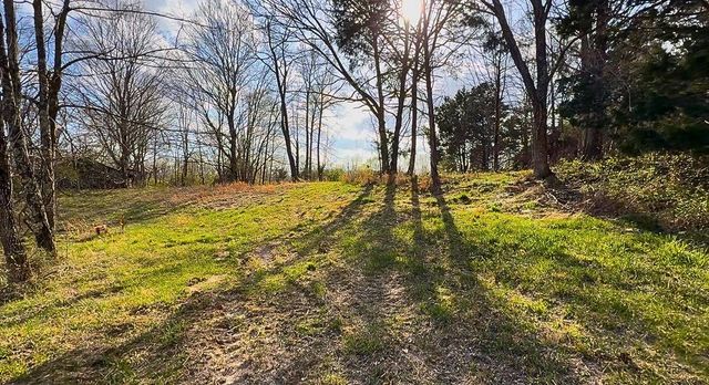 1672 Rabe Coats Rd, Westmoreland, TN 37186