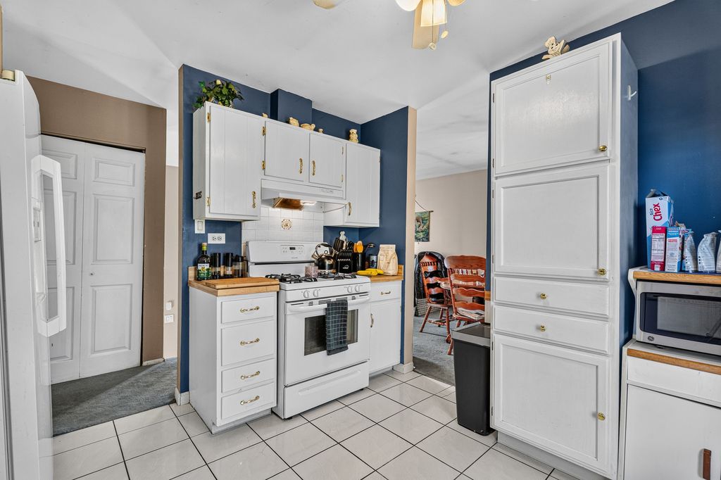 20519 S Acorn Ridge Drive, Frankfort, IL 60423 — photo 4