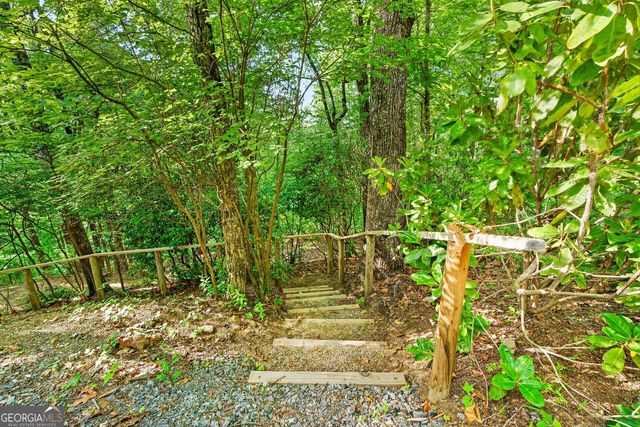 93 Martin Crossing, Cherry Log, GA 30522