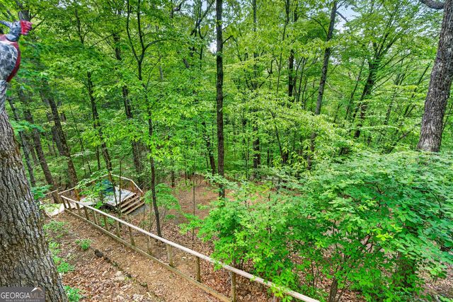 93 Martin Crossing, Cherry Log, GA 30522