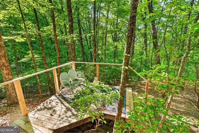 93 Martin Crossing, Cherry Log, GA 30522
