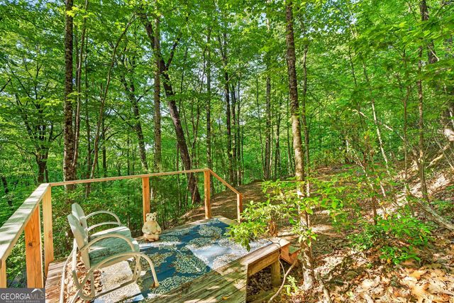 93 Martin Crossing, Cherry Log, GA 30522