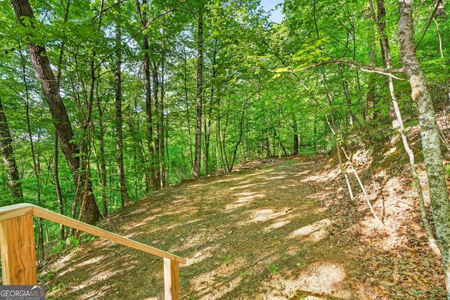 93 Martin Crossing, Cherry Log, GA 30522