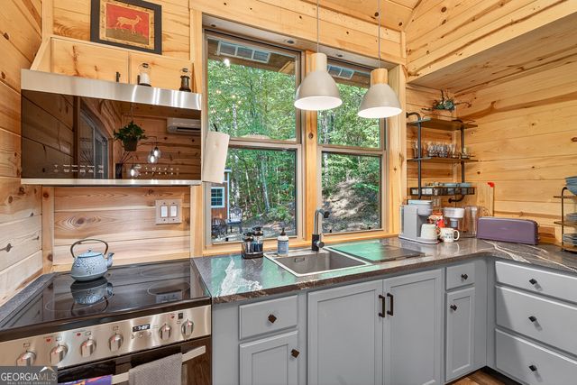 93 Martin Crossing, Cherry Log, GA 30522