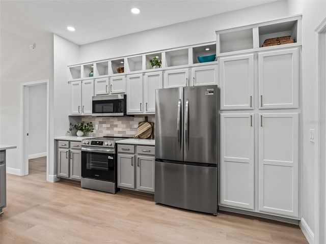 1506 ROCHA LANE, The Villages, FL 32159
