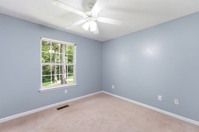 1028 Mikey Ct, Culleoka, TN 38451