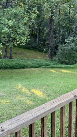1028 Mikey Ct, Culleoka, TN 38451