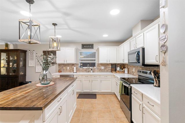 30118 CHEVAL STREET, Mount Dora, FL 32757