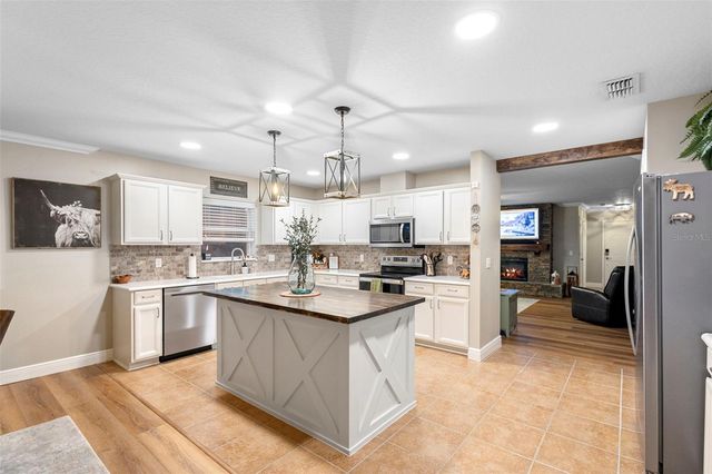 30118 CHEVAL STREET, Mount Dora, FL 32757