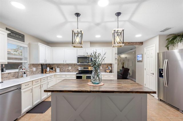 30118 CHEVAL STREET, Mount Dora, FL 32757