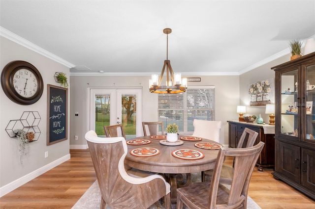 30118 CHEVAL STREET, Mount Dora, FL 32757