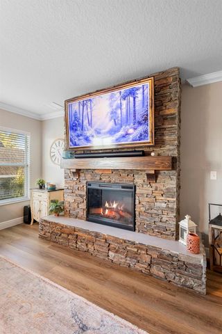 30118 CHEVAL STREET, Mount Dora, FL 32757