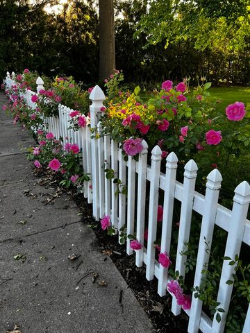 301 N Main Street, Alexis, IL 61412