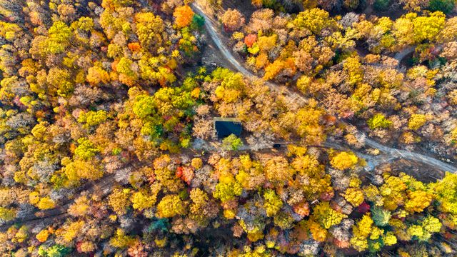 266 Blossom Way, Zoe, KY 41397