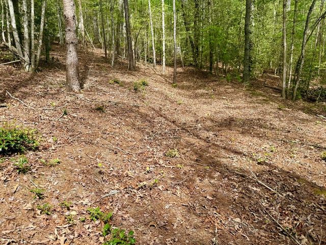 2.07 Ac Rainy Farm Road, Murphy, NC 28906