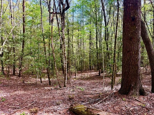 2.07 Ac Rainy Farm Road, Murphy, NC 28906