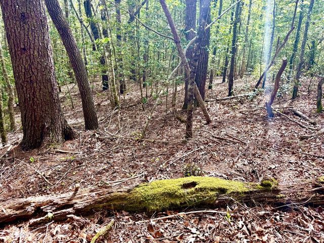 2.07 Ac Rainy Farm Road, Murphy, NC 28906