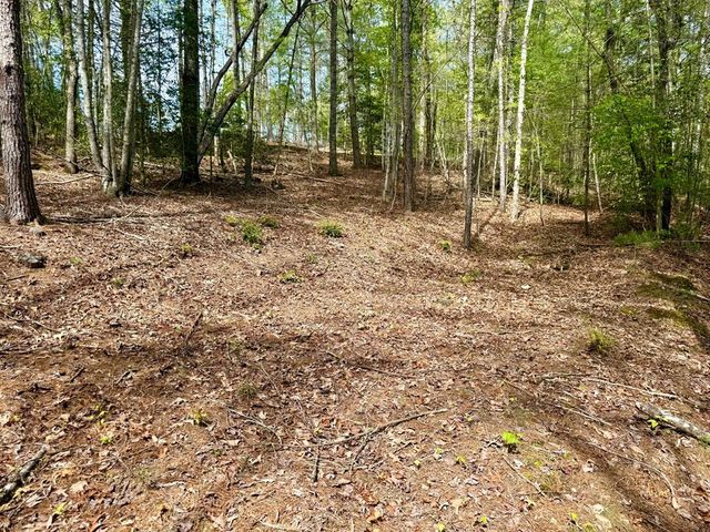 2.07 Ac Rainy Farm Road, Murphy, NC 28906