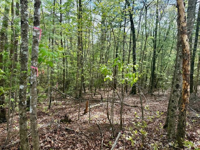 2.07 Ac Rainy Farm Road, Murphy, NC 28906