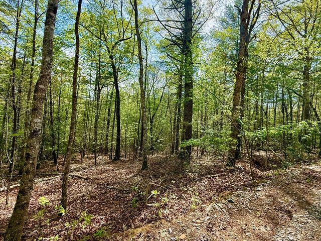 2.07 Ac Rainy Farm Road, Murphy, NC 28906