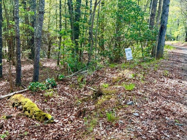 2.07 Ac Rainy Farm Road, Murphy, NC 28906