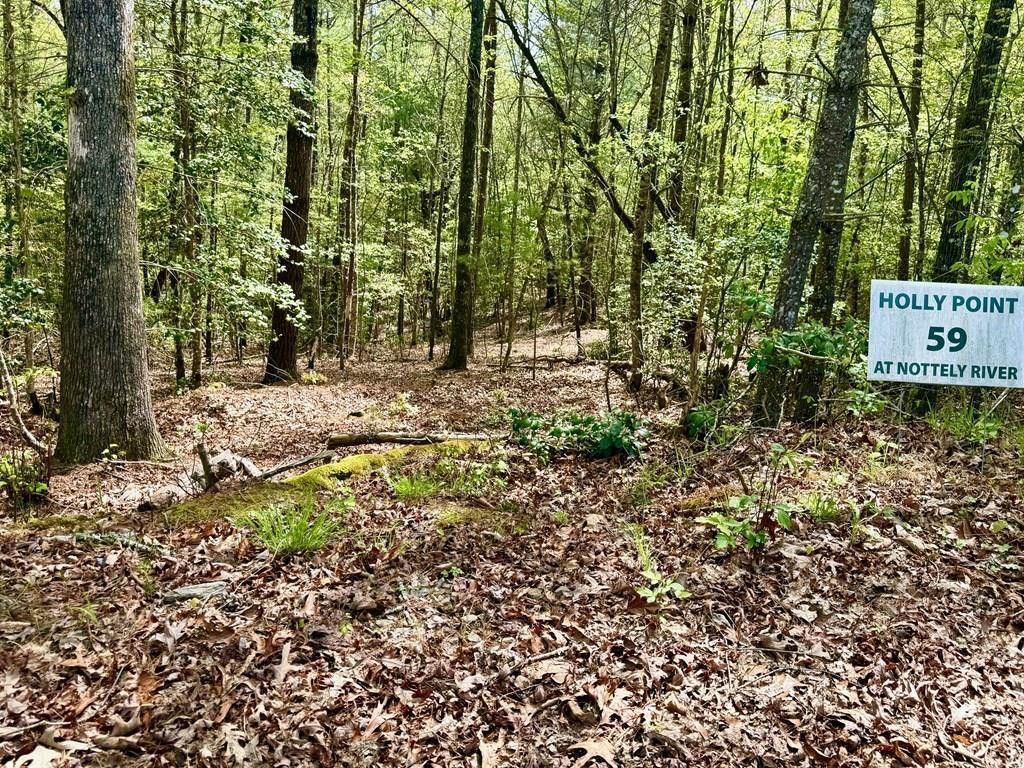 2.07 Ac Rainy Farm Road, Murphy, NC 28906