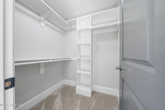 141 Sycamore Lakes Drive, Wallace, NC 28466