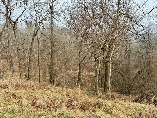 3899 Iva Durst Road, Leon, WV 25123