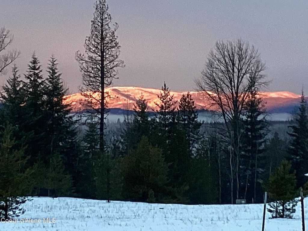 1367 Mud Gulch Rd, Priest River, ID 83856