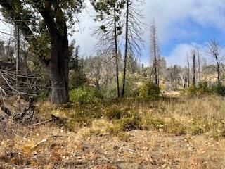 34329 Shaver Springs Road, Auberry, CA 93602