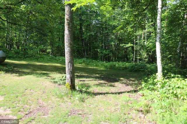 30205 Birch Drive, Pine City, MN 55063