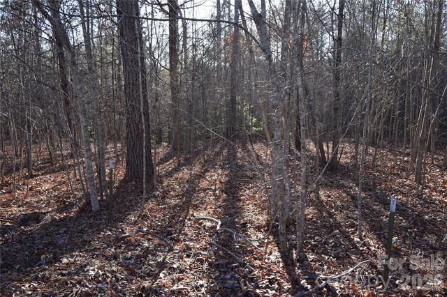 Lot 75 Tayberry Drive, Nebo, NC 28761