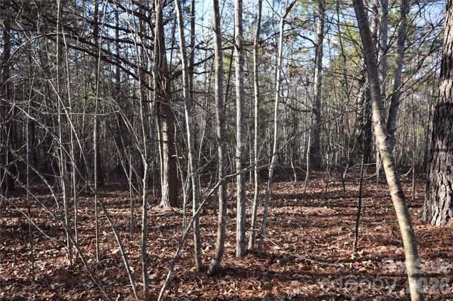 Lot 75 Tayberry Drive, Nebo, NC 28761