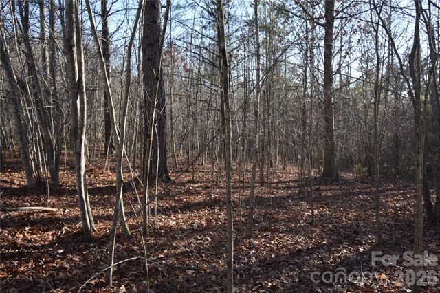 Lot 75 Tayberry Drive, Nebo, NC 28761