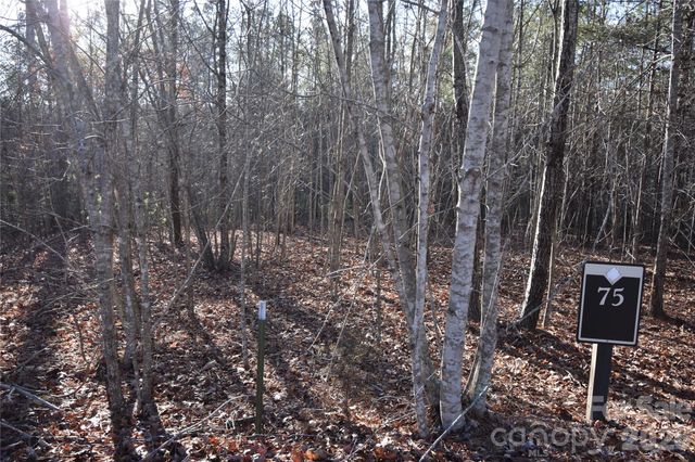 Lot 75 Tayberry Drive, Nebo, NC 28761