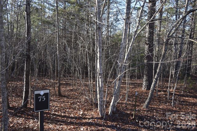 Lot 75 Tayberry Drive, Nebo, NC 28761