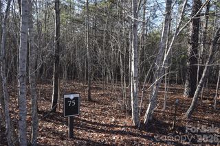 Lot 75 Tayberry Drive, Nebo, NC 28761