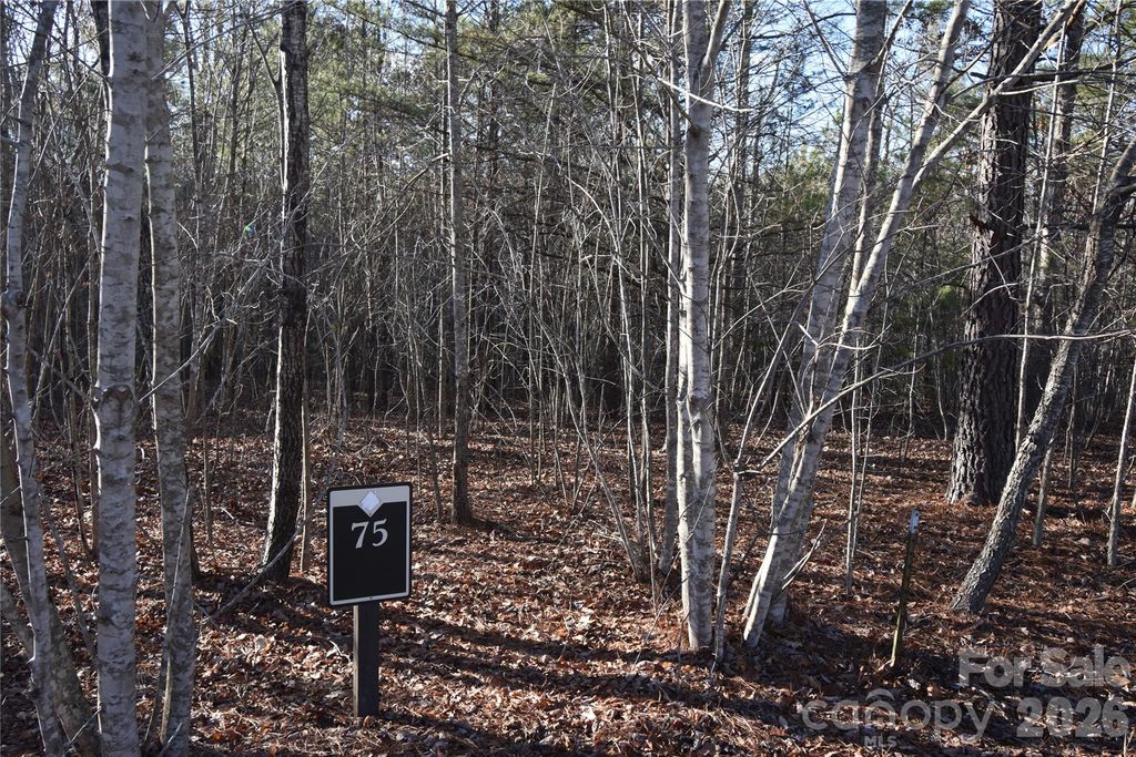 Lot 75 Tayberry Drive, Nebo, NC 28761
