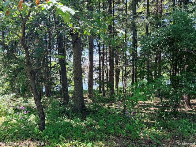 Vacant Mckeachie Road, White Lake, MI 48383