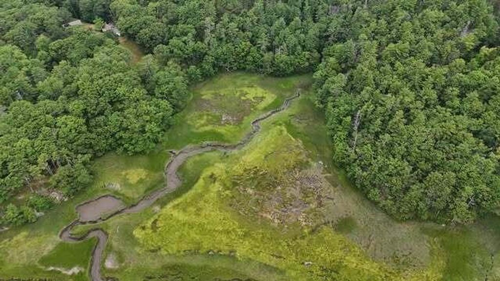 Lot 12 Rogers Neck, Phippsburg, ME 04562 — photo 5