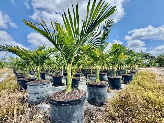 32800 SW 202nd Ave, Homestead, FL 33034