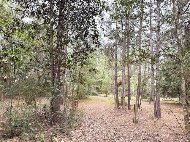 297 County Road 4479, Warren, TX 77664